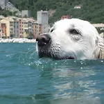 Sea View In Front Of The Sea * Porto Venere