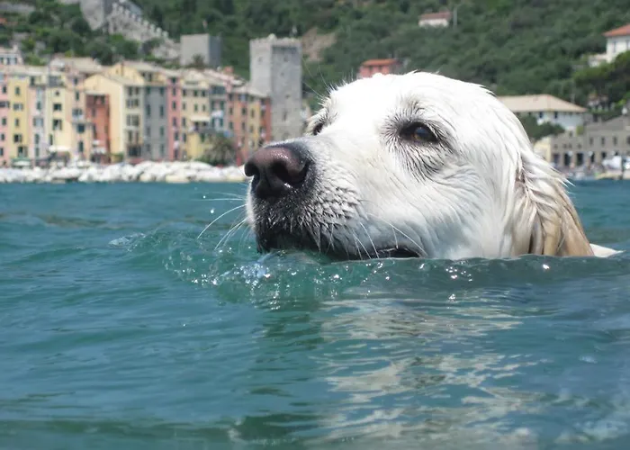 Sea View In Front Of The Sea * Porto Venere